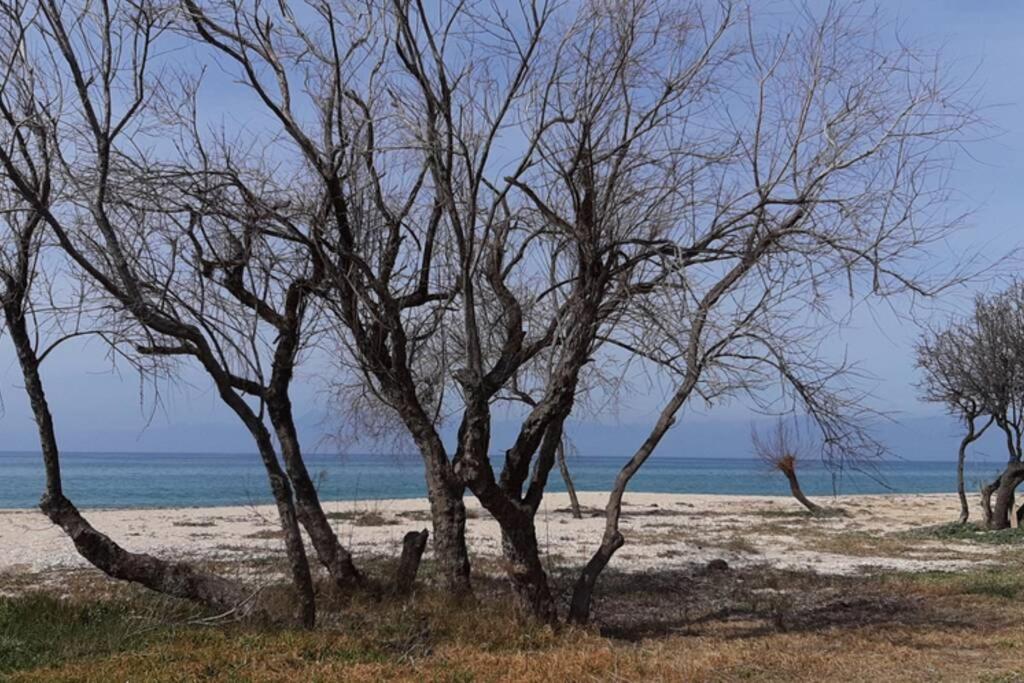 Sea Breeze Coastal House-in Almyros Beach Villa *