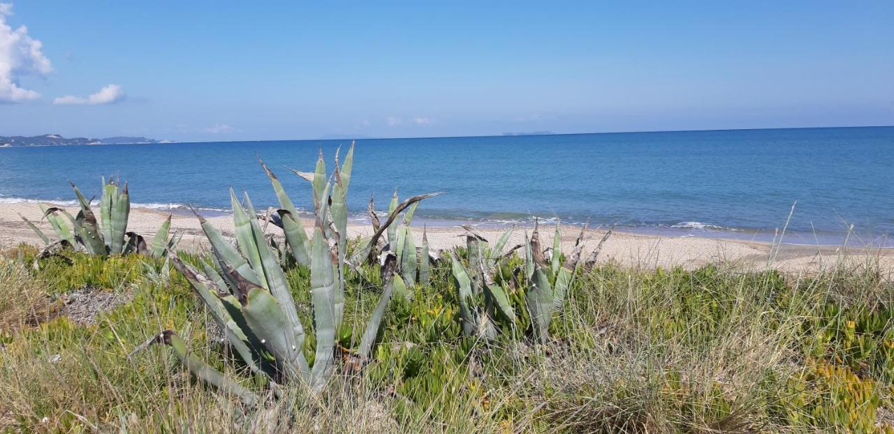 Sea Breeze Coastal House-in Almyros Beach Villa Acharavi (Corfu)